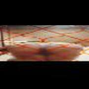 ヒメ日記 2025/10/28 00:14 投稿 雨宮（あまみや） 丸妻 錦糸町店