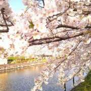 ヒメ日記 2026/03/28 12:59 投稿 雨宮（あまみや） 丸妻 錦糸町店