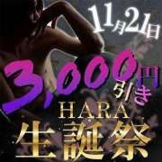 ヒメ日記 2024/11/20 11:31 投稿 吉永（よしなが） 丸妻 錦糸町店