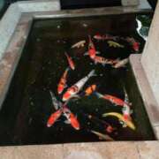 ヒメ日記 2025/07/15 09:23 投稿 吉永（よしなが） 丸妻 錦糸町店