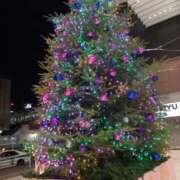 ヒメ日記 2025/12/11 03:12 投稿 吉永（よしなが） 丸妻 錦糸町店