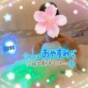 ヒメ日記 2026/01/11 11:07 投稿 吉永（よしなが） 丸妻 錦糸町店