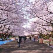 ヒメ日記 2026/03/29 13:11 投稿 吉永（よしなが） 丸妻 錦糸町店