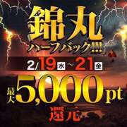 ヒメ日記 2025/02/19 10:00 投稿 湊（みなと） 丸妻 錦糸町店
