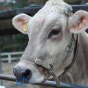 ヒメ日記 2025/12/05 13:30 投稿 上原ひなの プラチナアロマ川越