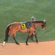 ヒメ日記 2026/01/13 00:04 投稿 上原ひなの プラチナアロマ川越