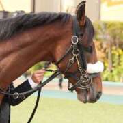 上原ひなの 今週の予想○★△ プラチナアロマ川越