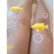 ヒメ日記 2025/10/25 23:46 投稿 小池（こいけ） 丸妻 錦糸町店