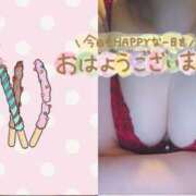 ヒメ日記 2026/02/01 09:17 投稿 小池（こいけ） 丸妻 錦糸町店