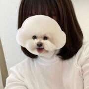 ヒメ日記 2025/03/16 15:17 投稿 竜ノ平つき 西川口風俗ド淫乱ンド