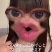 ヒメ日記 2025/08/26 08:27 投稿 竜ノ平つき 西川口風俗ド淫乱ンド