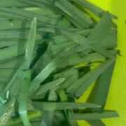 ヒメ日記 2025/09/04 10:57 投稿 竜ノ平つき 西川口風俗ド淫乱ンド