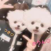 ヒメ日記 2025/11/29 16:07 投稿 竜ノ平つき 西川口風俗ド淫乱ンド