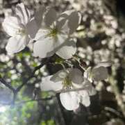 ヒメ日記 2026/03/30 12:35 投稿 竜ノ平つき 西川口風俗ド淫乱ンド