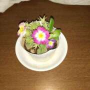 ヒメ日記 2025/04/15 18:32 投稿 戸狩あけみ 五十路マダムエクスプレス横浜店（カサブランカグループ）