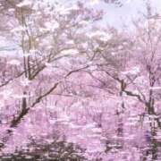 ヒメ日記 2026/03/31 15:46 投稿 戸狩あけみ 五十路マダムエクスプレス横浜店（カサブランカグループ）