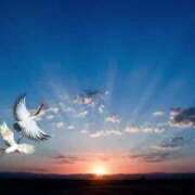 ヒメ日記 2025/01/01 11:51 投稿 あやこ 待ちナビ