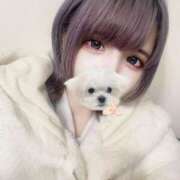 ヒメ日記 2025/04/03 19:24 投稿 エミリ※ハーフ系少女 きらめけ！にゃんにゃん学園in川口