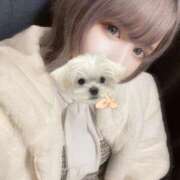 ヒメ日記 2025/04/04 01:30 投稿 エミリ※ハーフ系少女 きらめけ！にゃんにゃん学園in川口