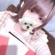 ヒメ日記 2025/04/14 21:15 投稿 エミリ※ハーフ系少女 きらめけ！にゃんにゃん学園in川口