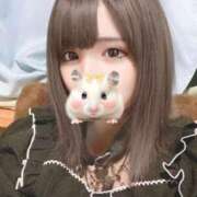 ヒメ日記 2025/05/21 00:11 投稿 エミリ※ハーフ系少女 きらめけ！にゃんにゃん学園in川口