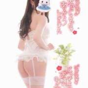 ヒメ日記 2025/01/19 01:16 投稿 ヒメ ラブコレクション