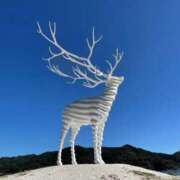 ヒメ日記 2025/03/05 20:46 投稿 ヒメ ラブコレクション