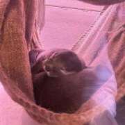 ヒメ日記 2025/03/30 20:16 投稿 ヒメ ラブコレクション