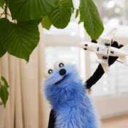 ヒメ日記 2026/01/28 16:31 投稿 ヒメ ラブコレクション