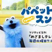 ヒメ日記 2026/05/08 06:31 投稿 ヒメ ラブコレクション