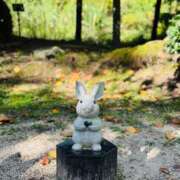 ヒメ日記 2025/10/23 19:57 投稿 るな 佐世保人妻デリヘル「デリ夫人」