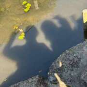 ヒメ日記 2025/10/27 14:58 投稿 るな 佐世保人妻デリヘル「デリ夫人」