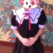 ヒメ日記 2024/12/13 10:23 投稿 はるか 秋葉原コスプレ学園in仙台