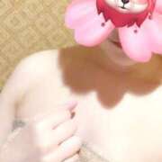 ヒメ日記 2024/12/19 18:33 投稿 はるか 秋葉原コスプレ学園in仙台