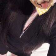 ヒメ日記 2025/01/05 22:53 投稿 はるか 秋葉原コスプレ学園in仙台