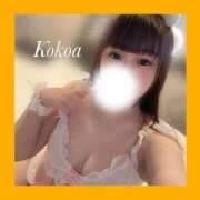 ヒメ日記 2024/12/13 18:49 投稿 桃咲　ここあ OLピンクコレクション