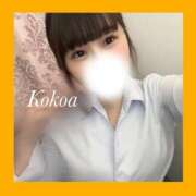 ヒメ日記 2024/12/14 23:49 投稿 桃咲　ここあ OLピンクコレクション