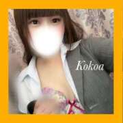 ヒメ日記 2024/12/15 23:59 投稿 桃咲　ここあ OLピンクコレクション