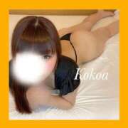 ヒメ日記 2026/02/16 19:19 投稿 桃咲　ここあ OLピンクコレクション