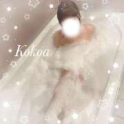 ヒメ日記 2026/02/21 18:49 投稿 桃咲　ここあ OLピンクコレクション