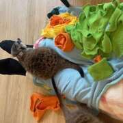 ヒメ日記 2025/07/16 13:19 投稿 しゅり 大塚 虹いろ回春