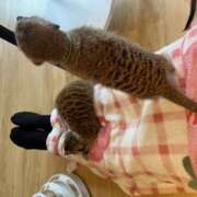 ヒメ日記 2025/09/13 16:26 投稿 しゅり 大塚 虹いろ回春