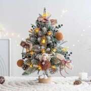 ヒメ日記 2024/12/24 12:55 投稿 けい 逢って30秒で即尺