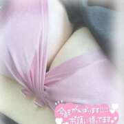 ヒメ日記 2025/03/13 12:10 投稿 みお 群馬渋川水沢ちゃんこ