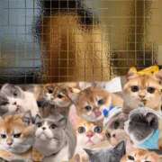 ヒメ日記 2026/03/15 20:41 投稿 なみ 京都回春性感マッサージ倶楽部