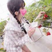 ヒメ日記 2025/04/07 13:16 投稿 りり プリンセスセレクション茨木・枚方店