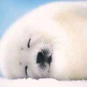 ヒメ日記 2025/05/11 22:42 投稿 りり プリンセスセレクション茨木・枚方店