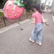 ヒメ日記 2025/06/17 11:00 投稿 りり プリンセスセレクション茨木・枚方店