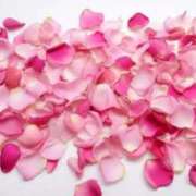 ヒメ日記 2025/12/31 21:12 投稿 神 聖☆2（ひじり） TiAmo（ティアモ）