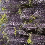 ヒメ日記 2025/05/08 11:32 投稿 新人　いおり MADAME Luxe